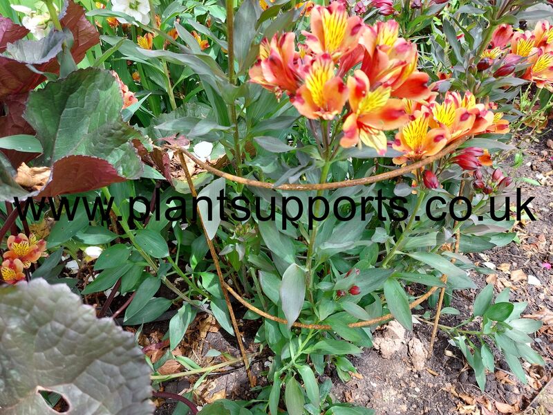 Double Arc pack of 3 41cm x 74cm high A0005D Double Arc pack of 3 41cm x 74cm high A0005D